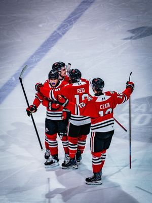 Image post by @ohlicedogs on Instagram