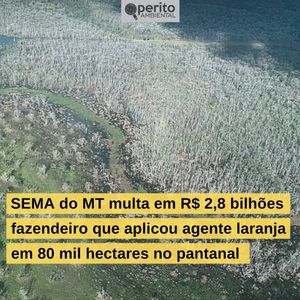 Image post by @operitoambiental on Instagram