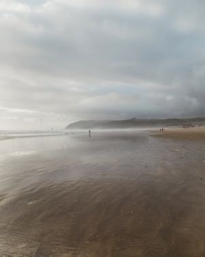 Image post by @nikguiney on Instagram
