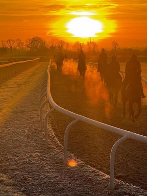 Image post by @juddmonte on Instagram