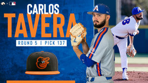 Image post by @UTAMavsBSB on Twitter