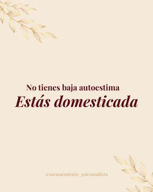 Image post by @sarasarmiento_psicoanalista on Instagram