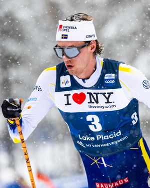 Image post by @matancoll on Instagram