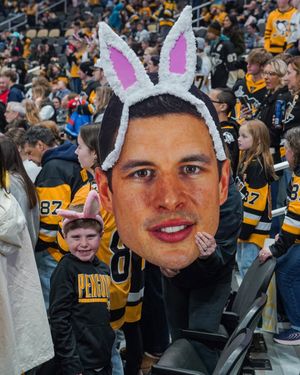 Image post by @penguins on Instagram