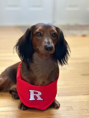 Image post by @rutgersu on Instagram