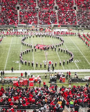 Image post by @GoCards on Twitter