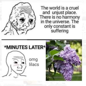 Image post by @green.anarchist on Instagram