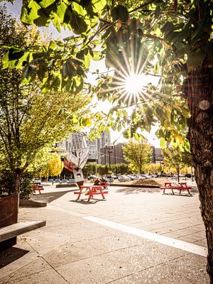 Image post by @cityofcalgary on Instagram