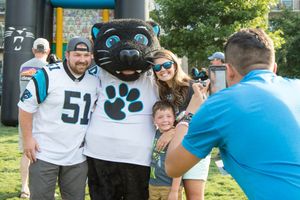 Image post by @SirPurr on Twitter