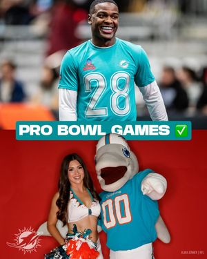 Image post by @losdolphins on Instagram