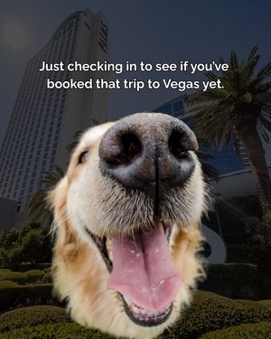 Image post by @palms on Instagram