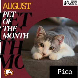 Image post by @wueagles on Instagram