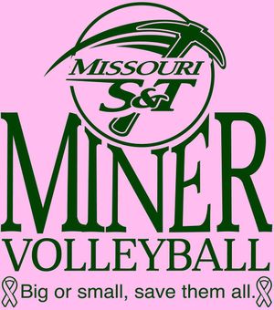 Image post by @miners_wvb on Instagram