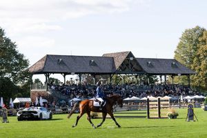 Image post by @greenwichpoloclub on Instagram