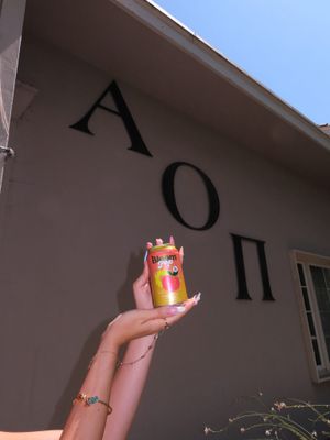 Image post by @alphaomicronpisjsu on Instagram