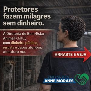 Image post by @annemoraesvereadora on Instagram