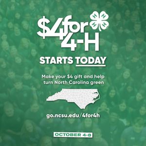 Image post by @northcarolina4h on Instagram