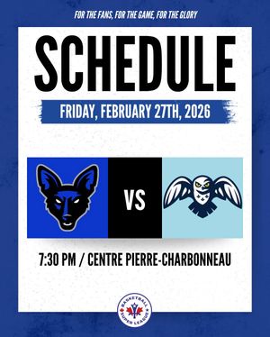 Image post by @basketballsuperleague on Instagram