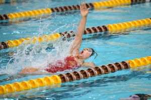 Image post by @iowastatesd on Instagram