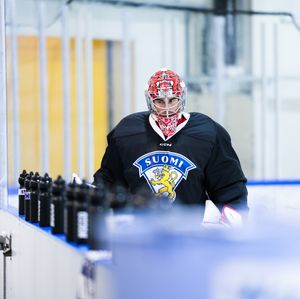 Image post by @leijonatfi on Instagram