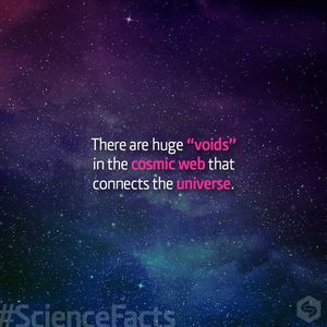 Image post by @prsciencetrust1 on Instagram