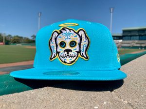 Image post by @ChasRiverDogs on Twitter/X