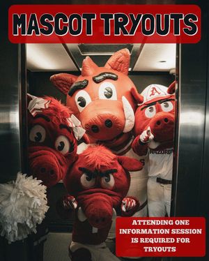 Image post by @razorbackmascots on Instagram