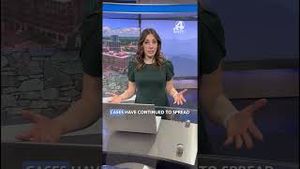 Video post by @wyffnews4 on YouTube