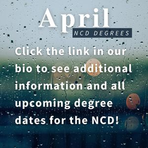 Image post by @kkpsincd on Instagram