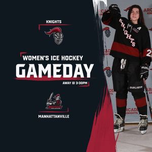 Image post by @arcadia_knights on Instagram