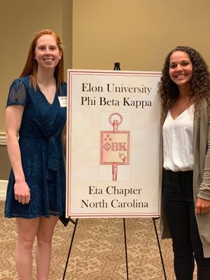Image post by @ElonVB on Twitter