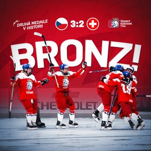 Image post by @narodnitymzen on Twitter