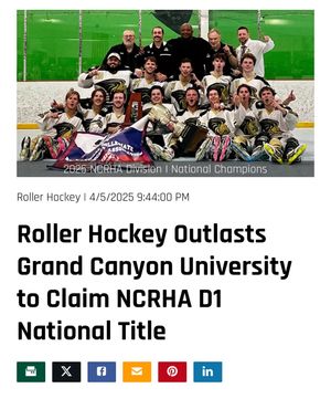 Image post by @lu_rollerhockey on Instagram