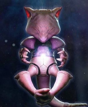 Video post by @1060Designs on Facebook