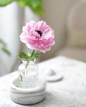 Image post by @kaho_flowerdesigner on Instagram