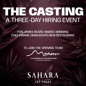 Image post by @saharalasvegas on Instagram