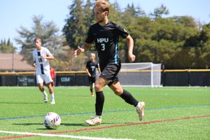 Image post by @hpusharks on Instagram