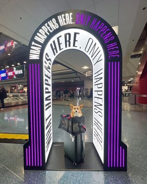 Image post by @ziggythecorg on Facebook