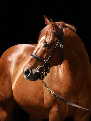 Image post by @coolmoreamerica on Instagram