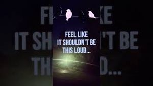 Video post by @evolsoulx on YouTube