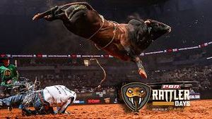 Video post by @pbr on YouTube