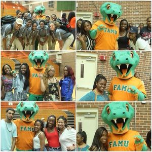 Image post by @famuathletics on Instagram