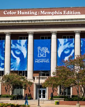 Video post by @uofmemphis on TikTok