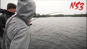 Video post by @apbassing on YouTube