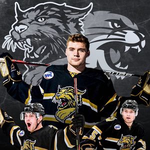 Image post by @bismarckbobcats on Instagram