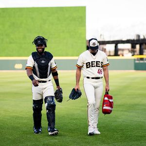 Image post by @saltlakebees on Instagram