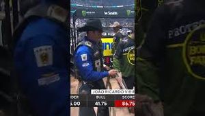 Video post by @pbr on YouTube