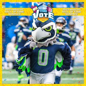Image post by @blitztheseahawk on Instagram