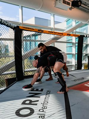 Image post by @ufcpi on Instagram