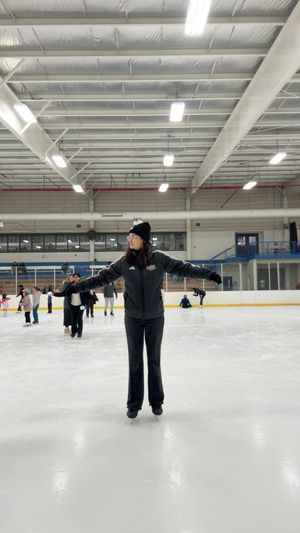 Video post by @NoviIceArena on Facebook